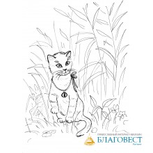 ЧЁРНАЯ КОШКА
