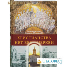 Христианства нет без Церкви. Священномученик Иларион (Троицкий)