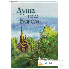 Душа пред Богом. Иеромонах Роман