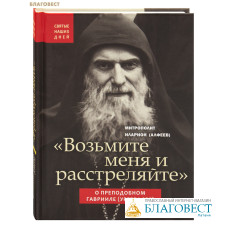 Возьмите меня и расстреляйте. О преподобном Гаврииле (Ургебадзе). Митрополит Иларион (Алфеев)