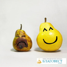 ЧЕСТНЫЙ ВЗГЛЯД НА ЖИЗНЬ ЧЕСТНЫЙ ВЗГЛЯД НА ЖИЗНЬ