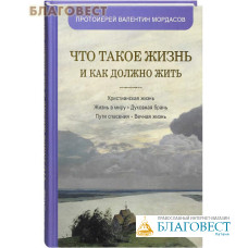 Что такое жизнь и как должно жить... Протоиерей Валентин Мордасов
