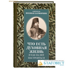 Что есть духовная жизнь и как на нее настроиться? Святитель Феофан Затворник