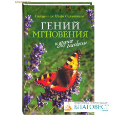 Гений мгновения и другие рассказы. Священник Игорь Сильченков